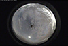 Bug on All Sky Camera