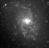 m33.jpg (19772 bytes)