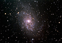 M33
