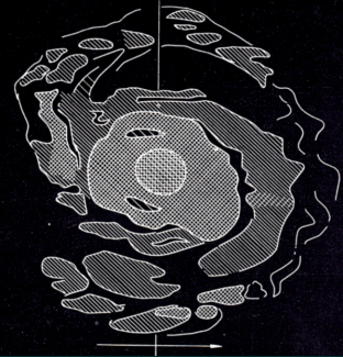 Rectified image of M31