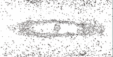 M31 in radio emission