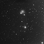 Arp79 and Arp117