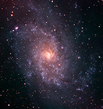 M33